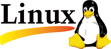 【运维实战】如何计算 Linux 服务器的 TCP 网络重传率？-Reverse